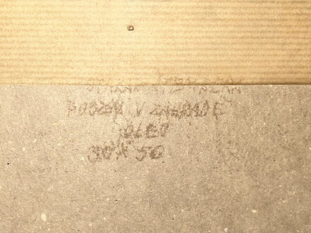 STROMY VE VĚTRU - ŠTEMBERA OTAKAR STROMY VE VĚTRU - ŠTEMBERA OTAKAR