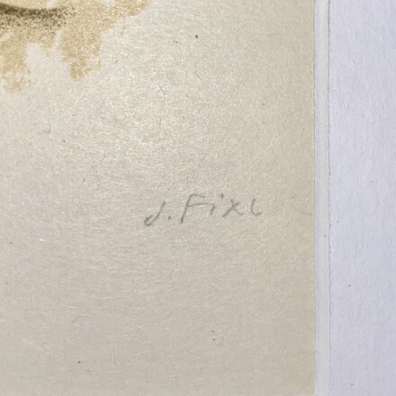 ROZCESTNÍK - FIXL JIŘÍ