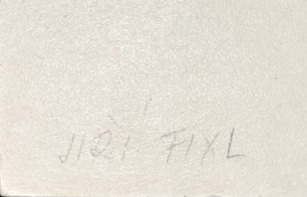 ROZCESTNÍK - FIXL JIŘÍ