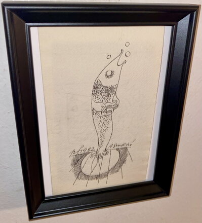 ZPÍVAJÍCÍ RYBA - SOKOL KAREL