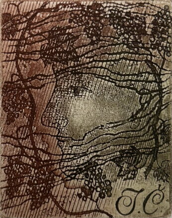 PORTRÉT A VÍNO - LAUFROVÁ ALENA