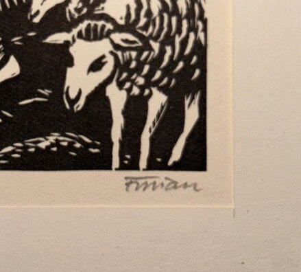 PASTEVEC - FLORIAN MICHAEL PASTEVEC - FLORIAN MICHAEL