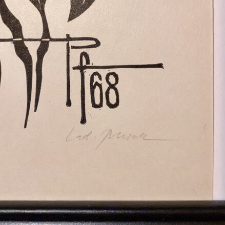 ROSTLINY A SLUNCE - RUSEK LADISLAV