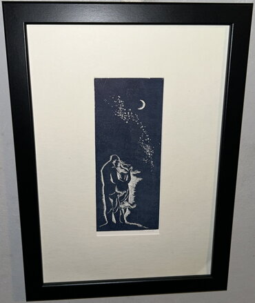 ZAMILOVANÝ PÁR POD HVĚZDAMI - MICHAL RASTISLAV