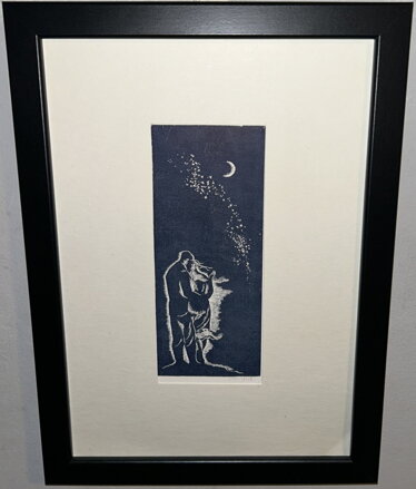 ZAMILOVANÝ PÁR POD HVĚZDAMI - MICHAL RASTISLAV