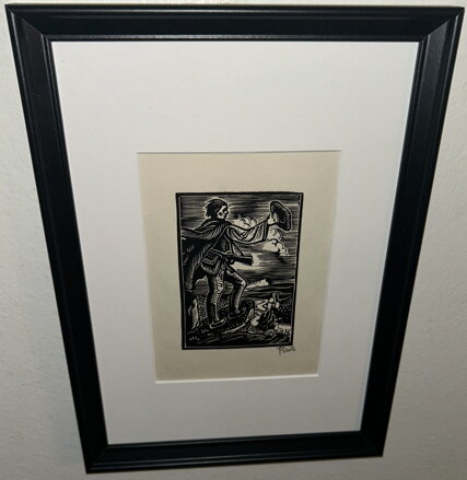 ZBOJNÍK - DUŠA FERDIŠ