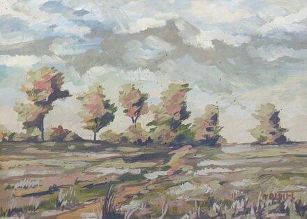 BARVY KRAJINY - NOIWIRT