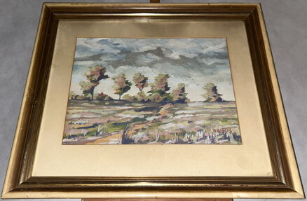 BARVY KRAJINY - NOIWIRT