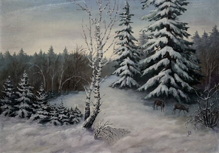 SRNKY V ZASNĚŽENÉM LESE - SIGNOVÁN