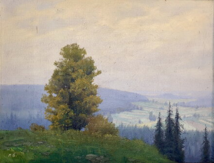 MLŽNÉ RÁNO - ŠKRABÁNEK FRANTIŠEK