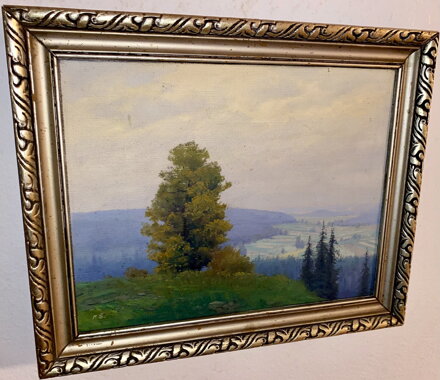 MLŽNÉ RÁNO - ŠKRABÁNEK FRANTIŠEK