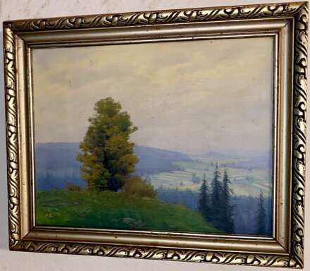 MLŽNÉ RÁNO - ŠKRABÁNEK FRANTIŠEK