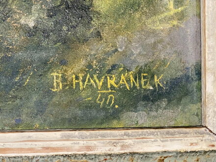 KRAJINA S BŘÍZAMI - HAVRÁNEK B.