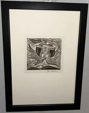 AKT V JABLKU - ČECHOVÁ OLGA