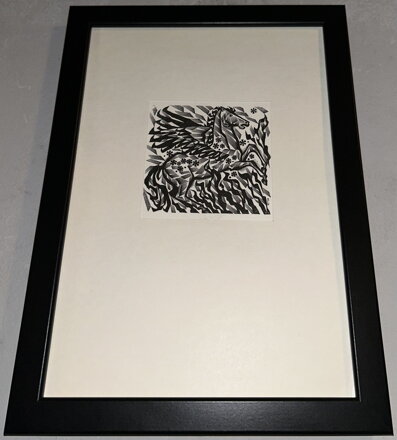 PEGAS - CINYBULK VOJTĚCH