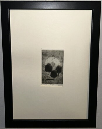 STROMY V NOCI - TOMANOVÁ MATOŠKOVÁ EMILIE