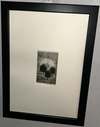 STROMY V NOCI - TOMANOVÁ MATOŠKOVÁ EMILIE