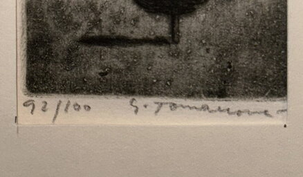 STROMY V NOCI - TOMANOVÁ MATOŠKOVÁ EMILIE