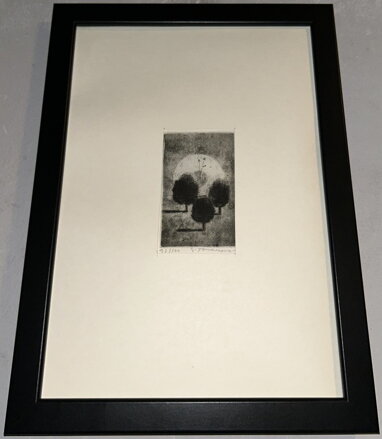 STROMY V NOCI - TOMANOVÁ MATOŠKOVÁ EMILIE