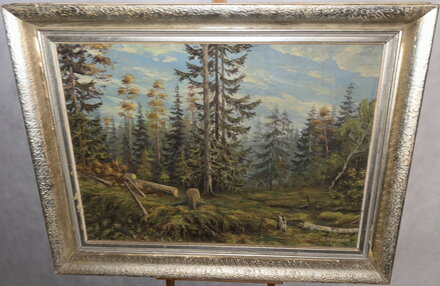 POKÁCENÉ STROMY V LESE - PECHOUŠEK