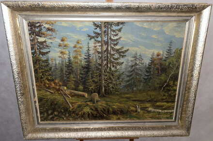 POKÁCENÉ STROMY V LESE - PECHOUŠEK