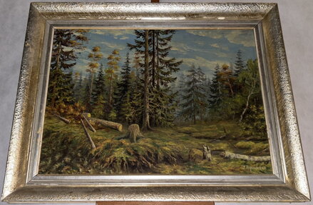 POKÁCENÉ STROMY V LESE - PECHOUŠEK