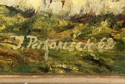 POKÁCENÉ STROMY V LESE - PECHOUŠEK