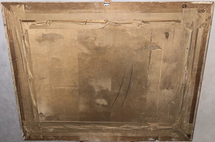 POKÁCENÉ STROMY V LESE - PECHOUŠEK