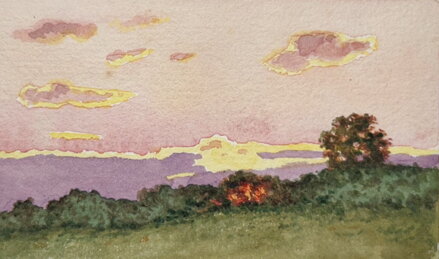 MRAKY V KRAJINĚ - PERGL ADOLF