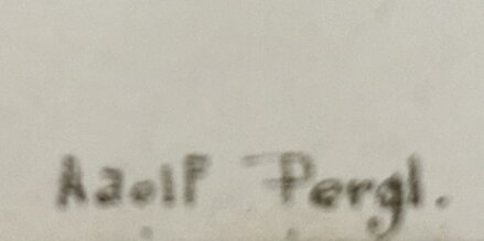 MRAKY V KRAJINĚ - PERGL ADOLF