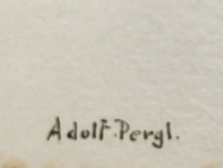 VILA V KRAJINĚ - PERGL ADOLF