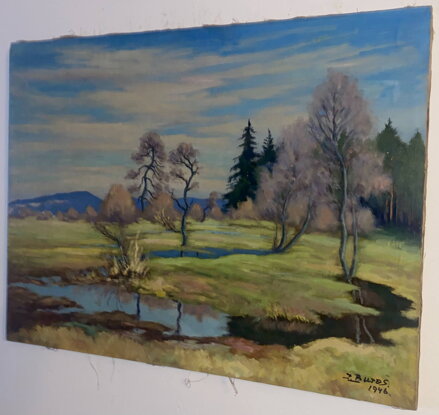 KRAJINA - BUREŠ JAROSLAV