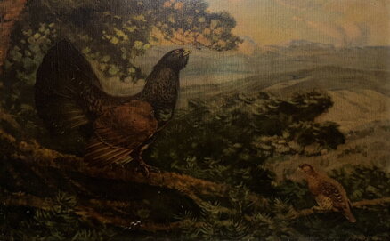 TETŘEV HLUŠEC - LOLEK STANISLAV - REPRODUKCE