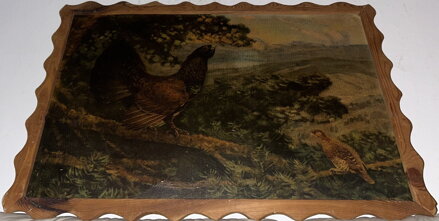 TETŘEV HLUŠEC - LOLEK STANISLAV - REPRODUKCE