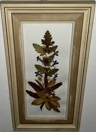 OBRAZ ZE SUCHÝCH ROSTLIN - NEZNÁMÝ AUTOR