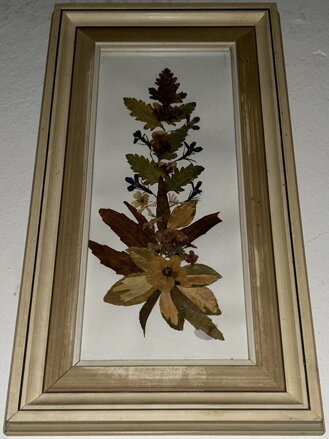 OBRAZ ZE SUCHÝCH ROSTLIN - NEZNÁMÝ AUTOR