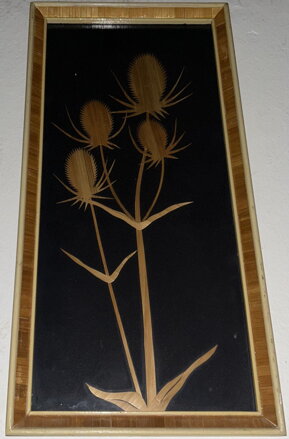 SLAMĚNÉ BODLÁKY - NEZNÁMÝ AUTOR