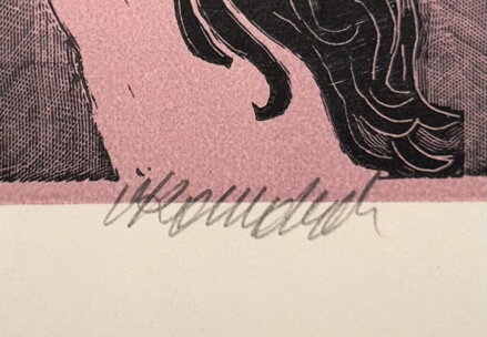 ČERNOVLASÁ DÍVKA S VAVŘÍNOVÝMI VĚTVIČKAMI - KOMÁREK VLADIMÍR