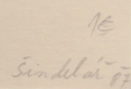 PORTRÉT V KRAJINĚ - ŠINDELÁŘ LUMÍR