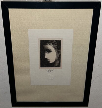 DÍVČÍ TVÁŘ SE ZÁVOJEM - JIŘINCOVÁ LUDMILA