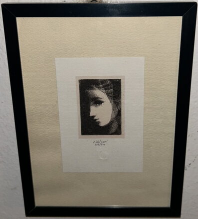 DÍVČÍ TVÁŘ SE ZÁVOJEM - JIŘINCOVÁ LUDMILA