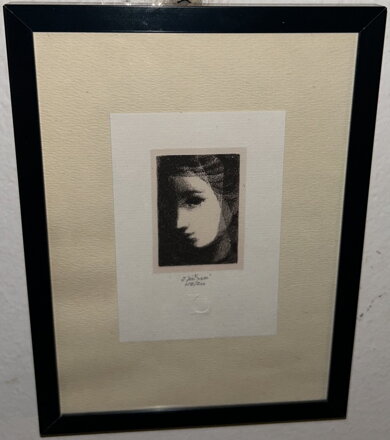 DÍVČÍ TVÁŘ SE ZÁVOJEM - JIŘINCOVÁ LUDMILA