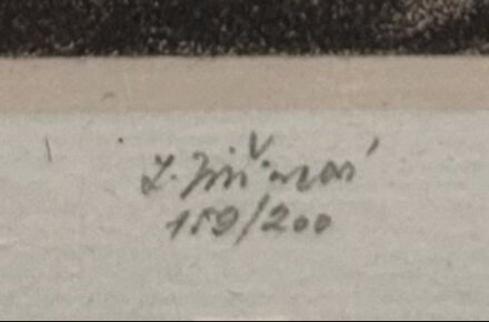 DÍVČÍ TVÁŘ SE ZÁVOJEM - JIŘINCOVÁ LUDMILA