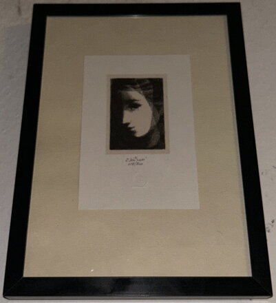 DÍVČÍ TVÁŘ SE ZÁVOJEM - JIŘINCOVÁ LUDMILA