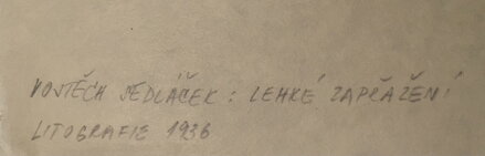 LEHKÉ ZAPŘAŽENÍ - SEDLÁČEK VOJTĚCH