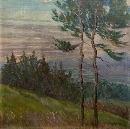 LETNÍ VRCHOVINA - SIGNOVÁN