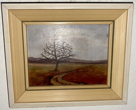 ZIMNÍ CESTA - POLCAR