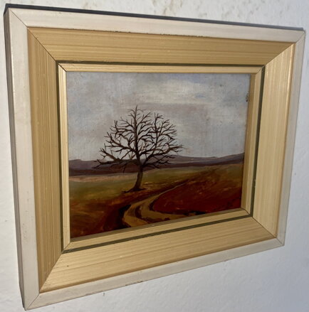 ZIMNÍ CESTA - POLCAR