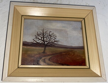 ZIMNÍ CESTA - POLCAR