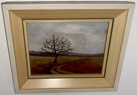 ZIMNÍ CESTA - POLCAR